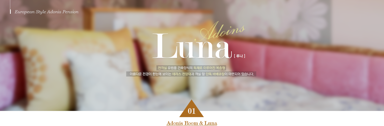 European Style Adonis Pension Luna [ 루나 ] 전객실 유럽풍 건축양식의 독채로 이루어진 복층형 아름다운 전경이 한눈에 보이는 테라스 전망대과 객실 앞 단독 바베큐장이 마련되어 있습니다. 01 Adonis Room & Luna