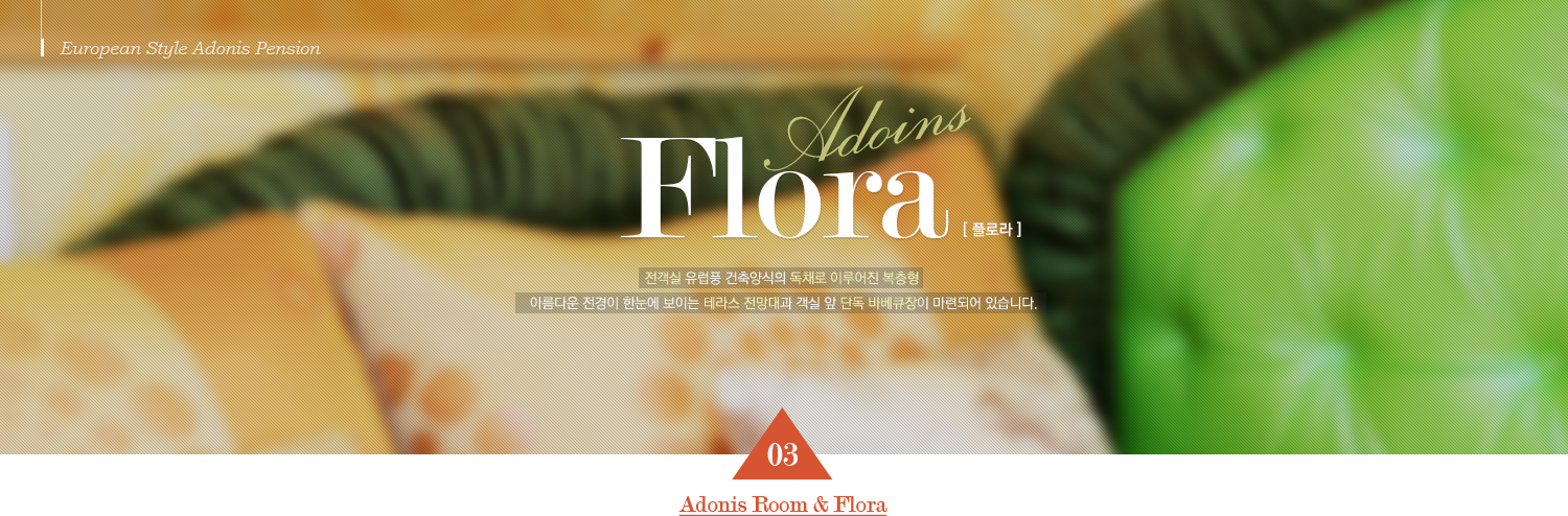 European Style Adonis Pension Flora [ 플로라 ] 전객실 유럽풍 건축양식의 독채로 이루어진 복층형 아름다운 전경이 한눈에 보이는 테라스 전망대과 객실 앞 단독 바베큐장이 마련되어 있습니다. 03 Adonis Room & Flora