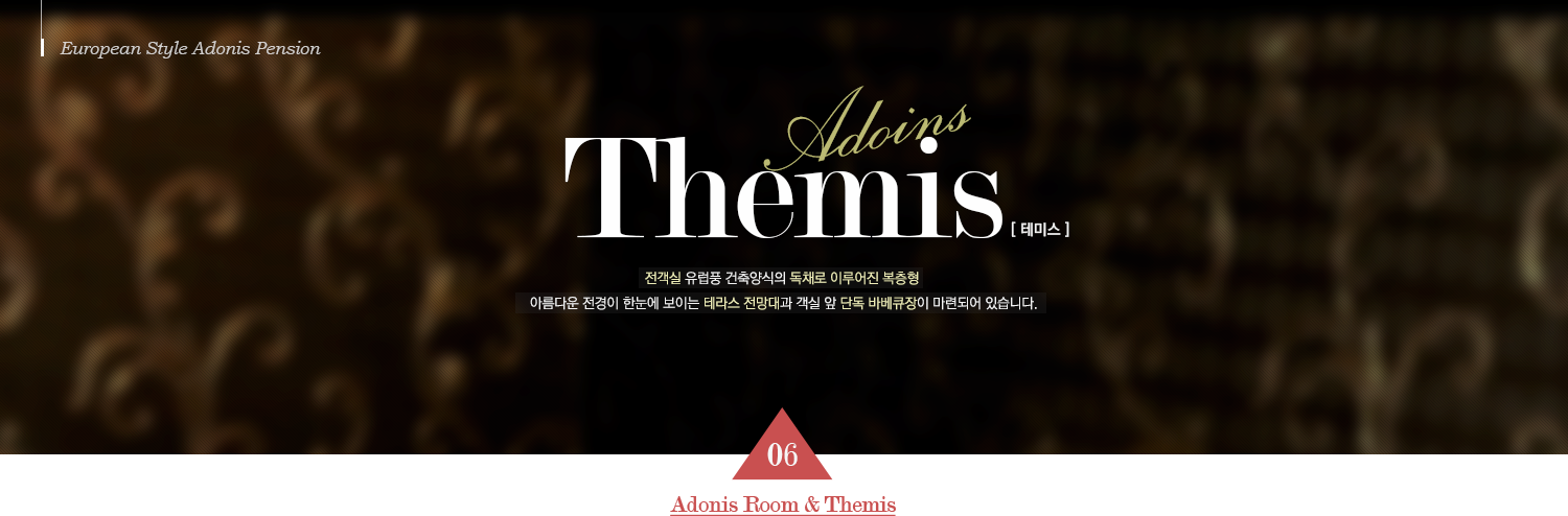 European Style Adonis Pension Themis [ 테미스 ] 전객실 유럽풍 건축양식의 독채로 이루어진 복층형 아름다운 전경이 한눈에 보이는 테라스 전망대과 객실 앞 단독 바베큐장이 마련되어 있습니다. 06 Adonis Room & Themis