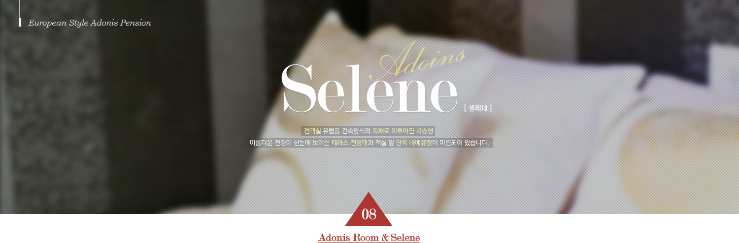 European Style Adonis Pension Selene [ 셀레네 ] 전객실 유럽풍 건축양식의 독채로 이루어진 복층형 아름다운 전경이 한눈에 보이는 테라스 전망대과 객실 앞 단독 바베큐장이 마련되어 있습니다. 08 Adonis Room & Selene