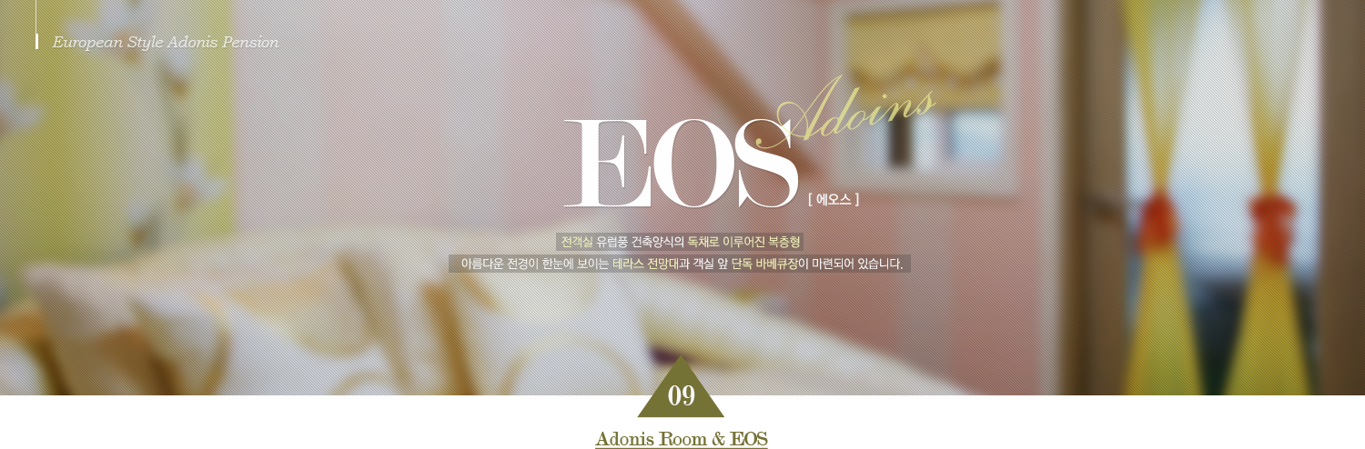 European Style Adonis Pension EOS [ 에오스 ] 전객실 유럽풍 건축양식의 독채로 이루어진 복층형 아름다운 전경이 한눈에 보이는 테라스 전망대과 객실 앞 단독 바베큐장이 마련되어 있습니다. 09 Adonis Room & EOS